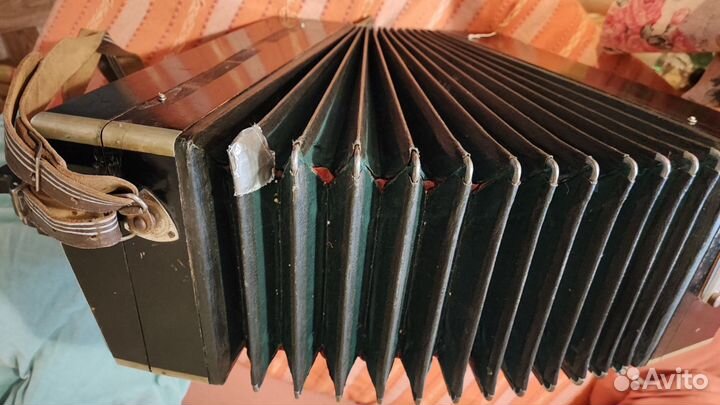 Баян тульский 50е годы