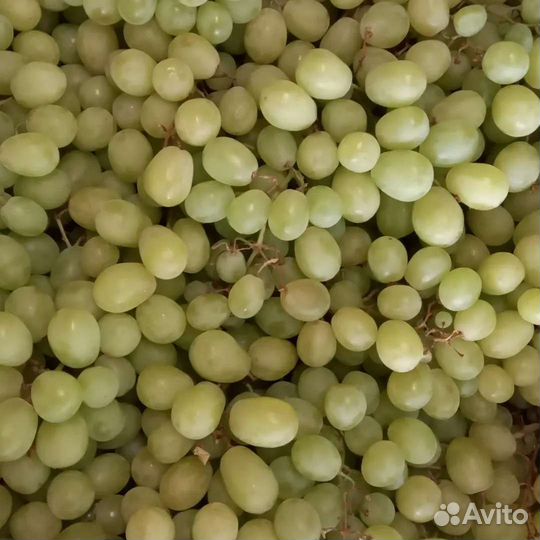 Овощи фрукты сухофрукты