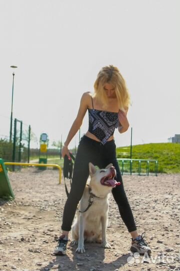 Услуги кинолога