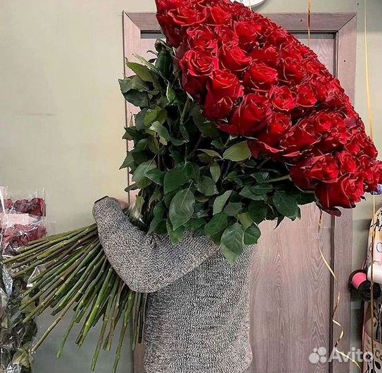 101 роза цветы букеты доставка 25 51 101 роза
