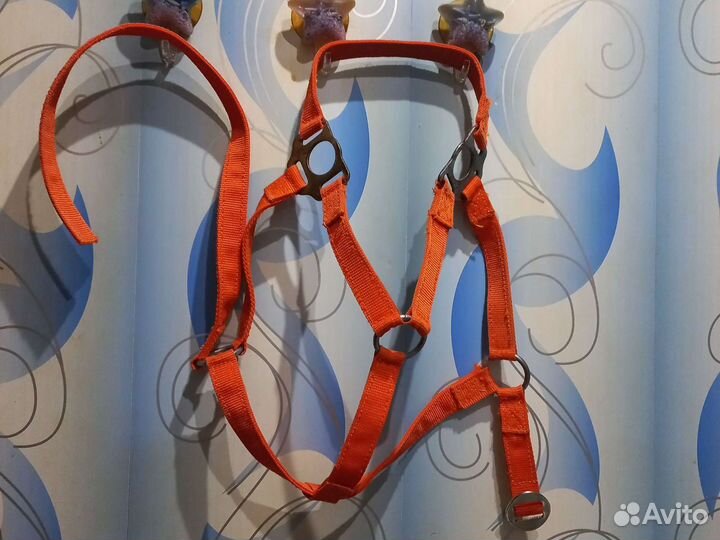 Амуниция для лошади