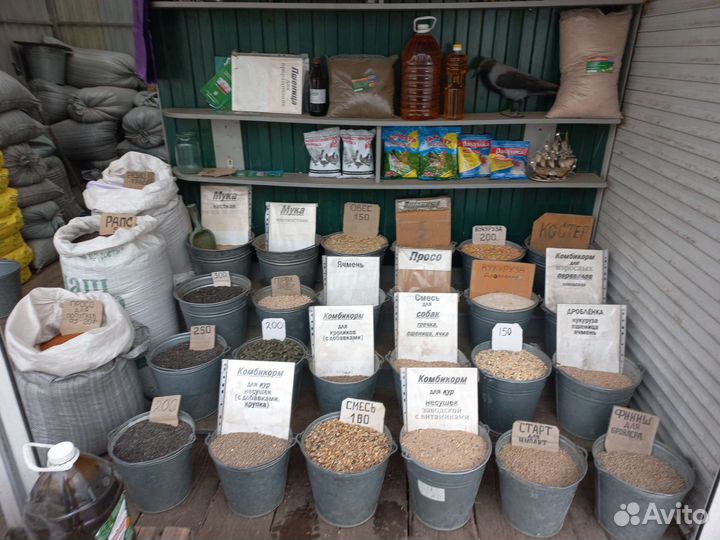 Корм для животных