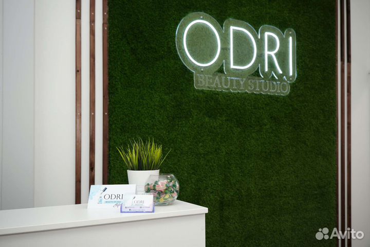 Мастер Бровист