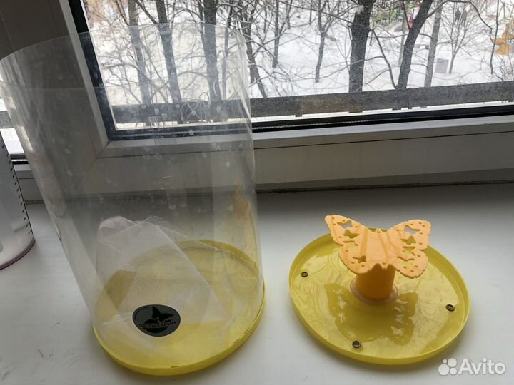 Бабочкарий