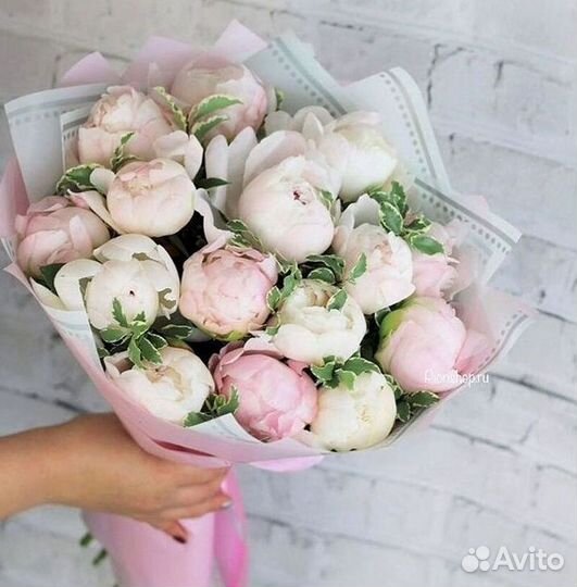 Пионы Цветы Доставка