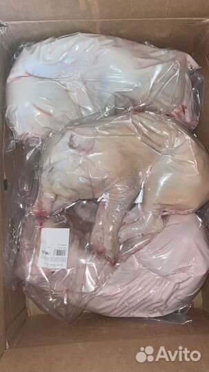 Поросята молочные