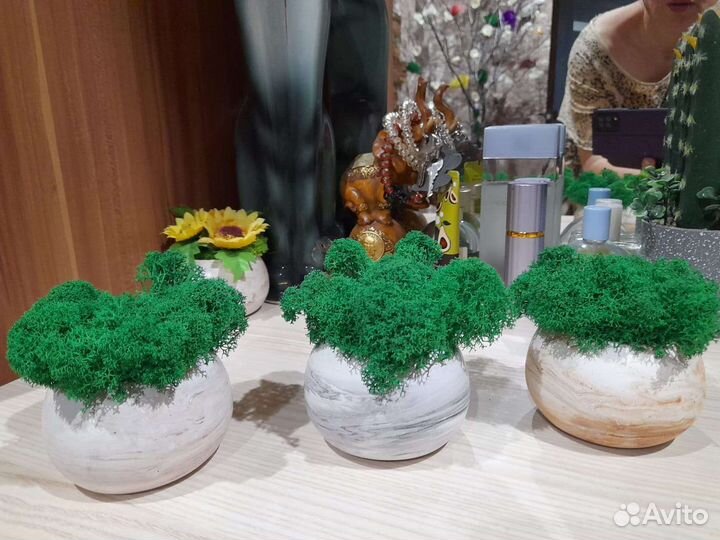 Декоративное кашпо с стабилизированным мхом