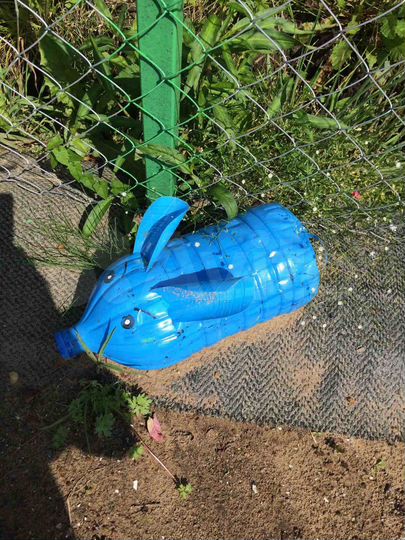 Участок 6 сот. (СНТ, ДНП)