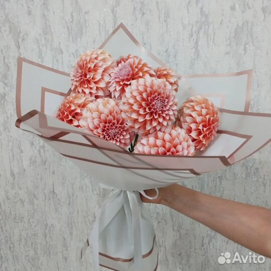 Георгины клубни