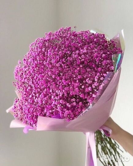 Гипсофила Белая Цветная Букет / Композиция