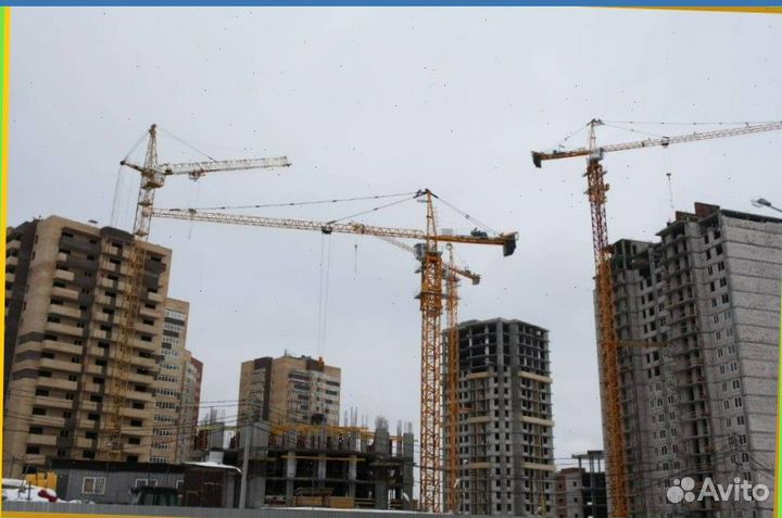 Ищу инвестора в готовый бизнес под 87% годовых