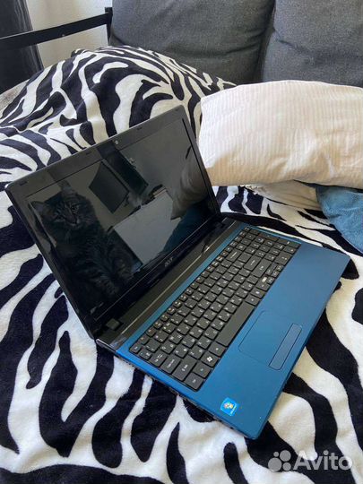 Ноутбук acer aspire 5560