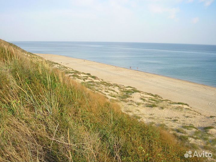 Бег по утрам