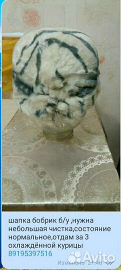 Шапка,стриженый бобрик