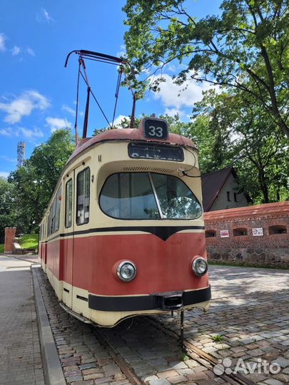 Индивидуальные экскурсии по Калининграду и области