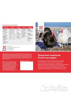 Комбикорм Гроуэр (рост) для индеек Purina