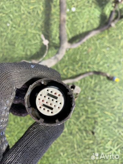 Проводка двс Chevrolet Trailblazer кроссовер 4.2