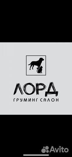 Грумер