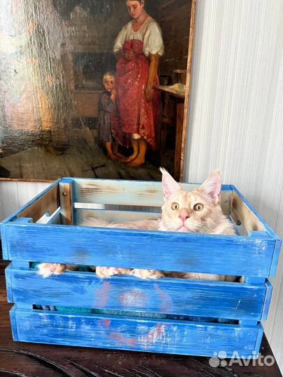 Деревянный дизайнерский ящик