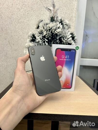 iPhone X, 256 ГБ