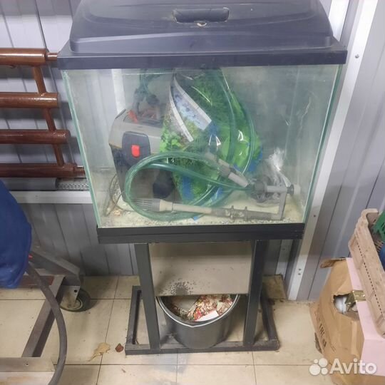 Аквариум