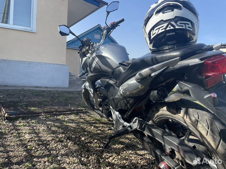 Stels Flex 250