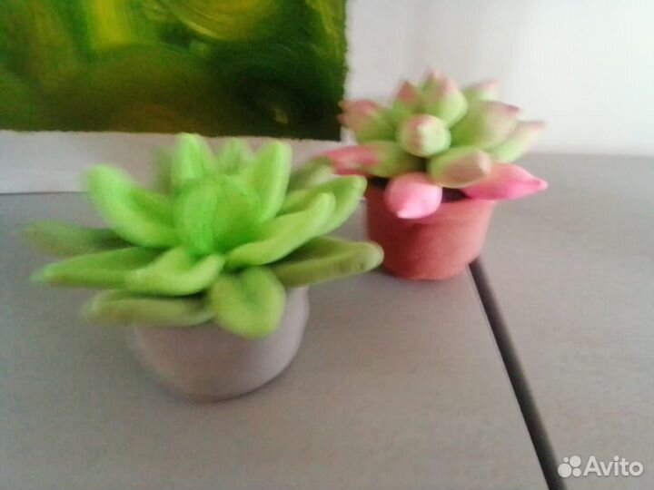 Суккуленты искусственные