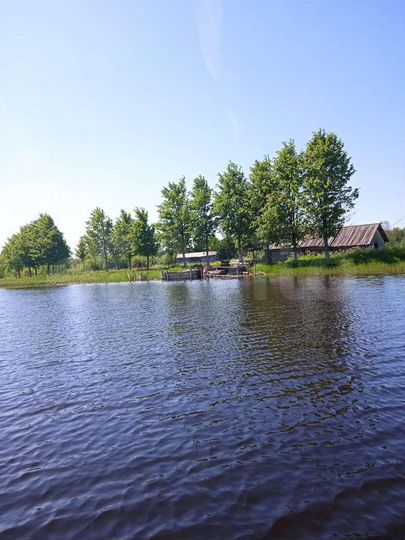 Дом 90 м² на участке 2 га