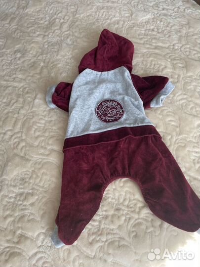 Одежда для любимого питомца, мешком