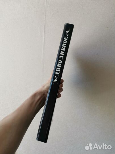 Книга сказок 