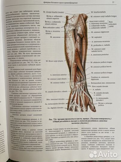 Атлас анатомии человека, Синельников, 4 тома