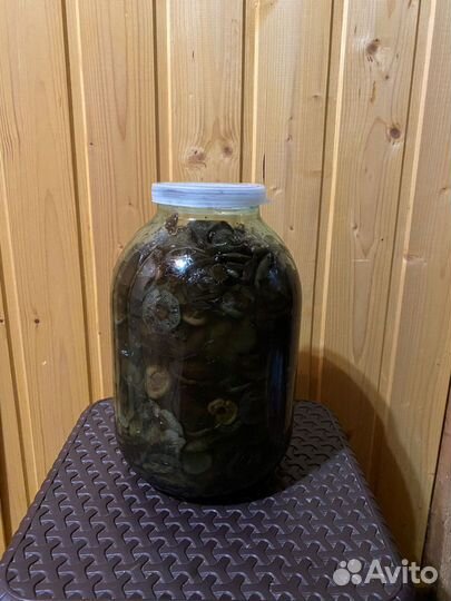 Грибы рыжики солёные