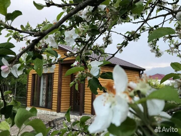 Отдых в Цандрыпше