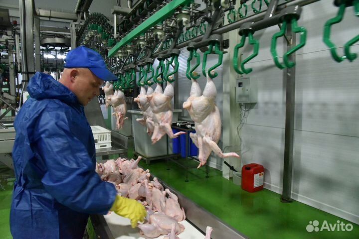 Рабочий на птицефабрику - вахта в Челябинской обл