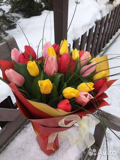 Тюльпаны к 8 марта