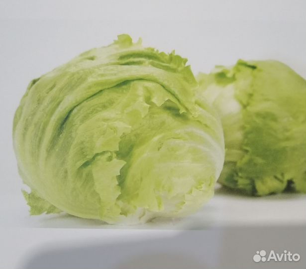 Салатная продукция