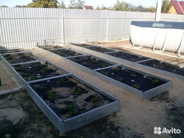 Грядки высокие пластиковые и оцинкованные