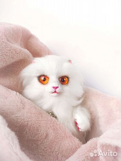 Котëнок 