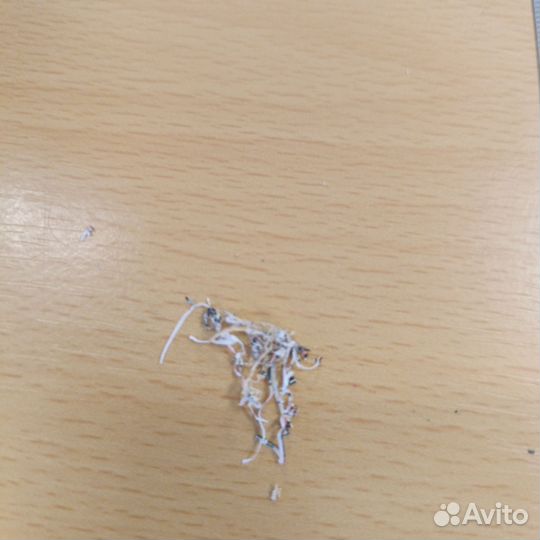 Парта и ручка