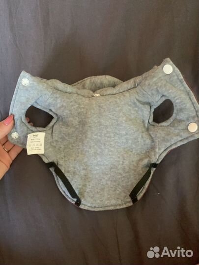 Одежда для собак мелких пород