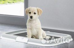 Лоток для приучения к Туалету