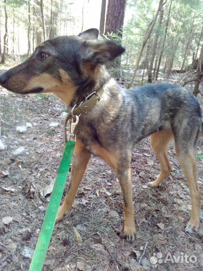 Мальчишка самый красивый