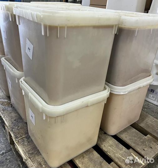 Свежий мед майский оптом