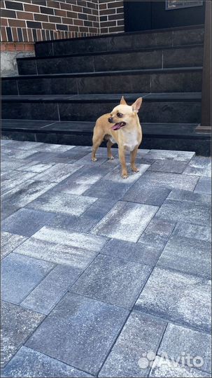 Краснодарская тротуарная плитка