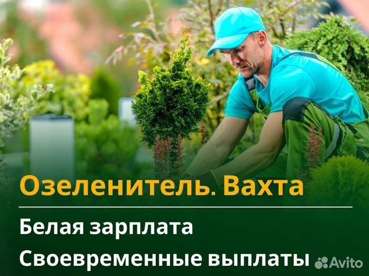 Озеленитель вахта 60/30 / жилье питание