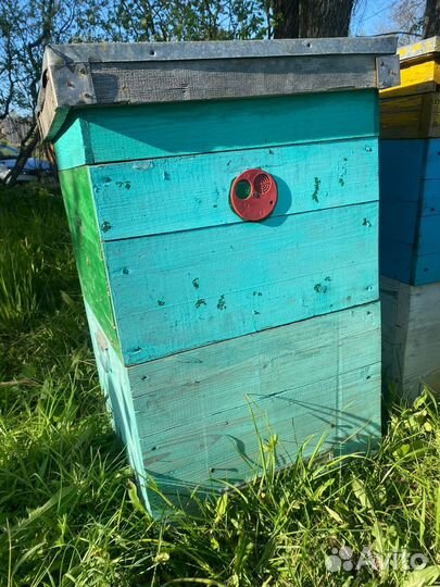 Продам ульи для пчел