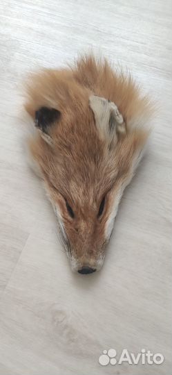 Шкурка животного