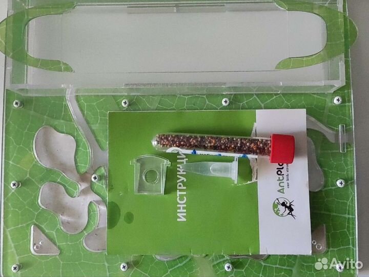Формикарий для муравьев