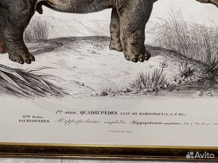 Интерьерная картина большая