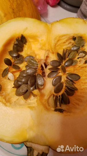 Тыква голосеменная Штирийская, семена